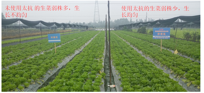 1513332087816213Z6em.png blob.png