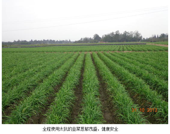 1513333130149959iJRJ.png blob.png