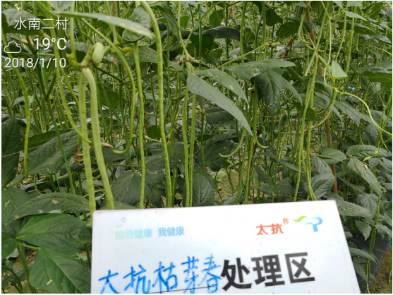 1515669169149858KYx0.png blob.png