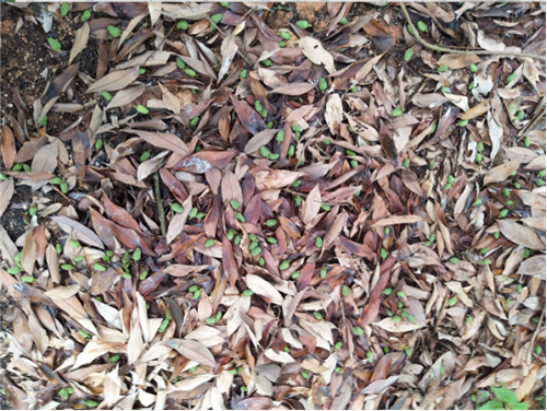 1527235329544044trUx.png 圖片1_副本.png