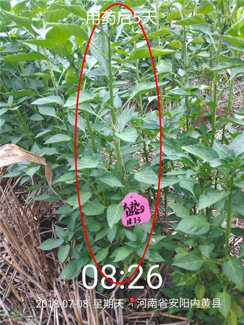 1535339973222481auNH.png 圖片8.png