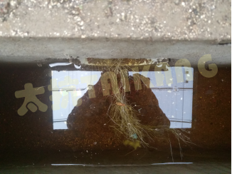 1574818953897476cQY0.png blob.png