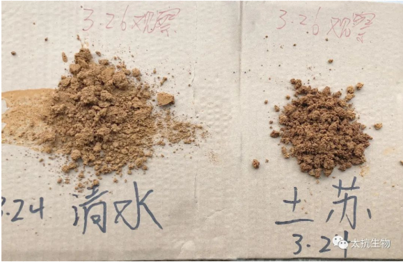 1587374721332640g1jb.png image.png