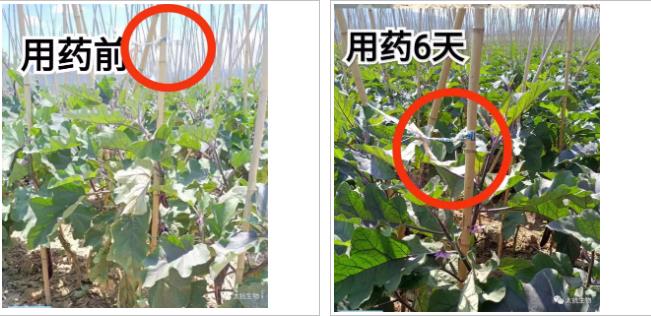 1634827666361916Q4UP.jpg 微信截圖_20211021224855.jpg